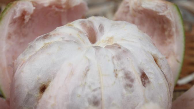 Jeruk bali Blora bisa dipanen dalam waktu 5 sampai 6 bulan. Pandemi virus corona jadi momentum kebangkitan industri buah tanah air. (Liputan6.com/ Ahmad Adirin)