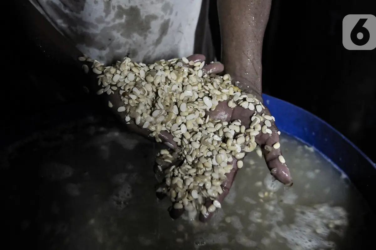 Produksi Tempe Kembali Menggeliat