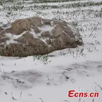 Gunung Jingshan, gunung terkecil di dunia. (Sumber Foto: kapanlagi.com)