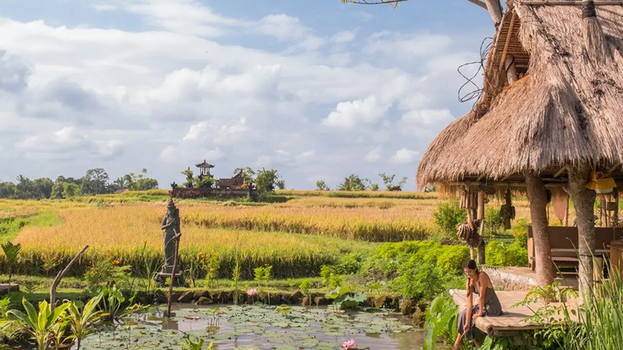 Desa Visesa Ubud 