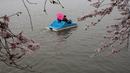 Warga naik perahu menikmati keindahan bunga sakura yang bersemi di Washington DC, AS (26/3). Bunga Sakura merupakan satu keunggulan negara Jepang. (AFP Photo / Zach Gibson)