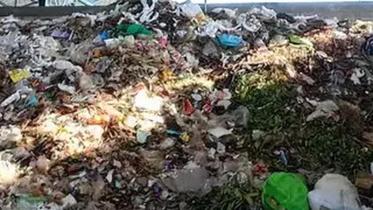 Bahaya Membakar Sampah, Ancaman Serius bagi Kesehatan Manusia yang Sering Tak Disadari