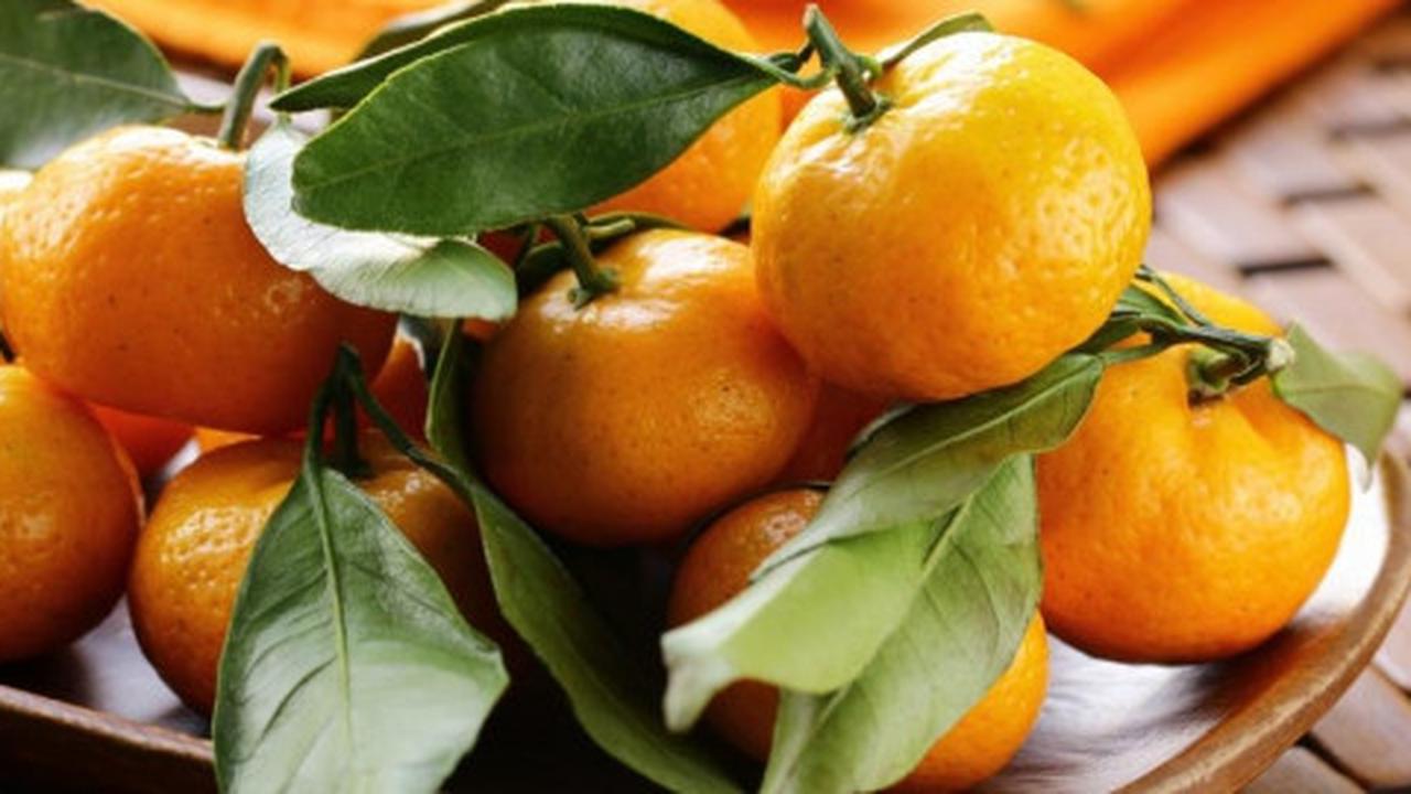 Jeruk mandarin