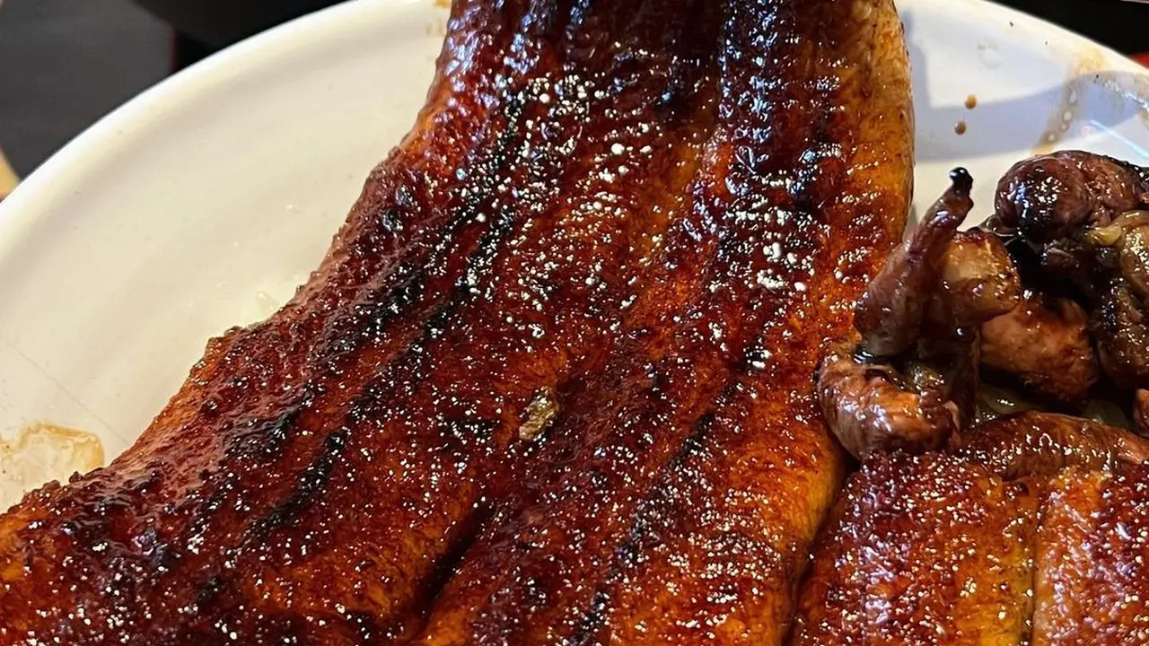 Unagi