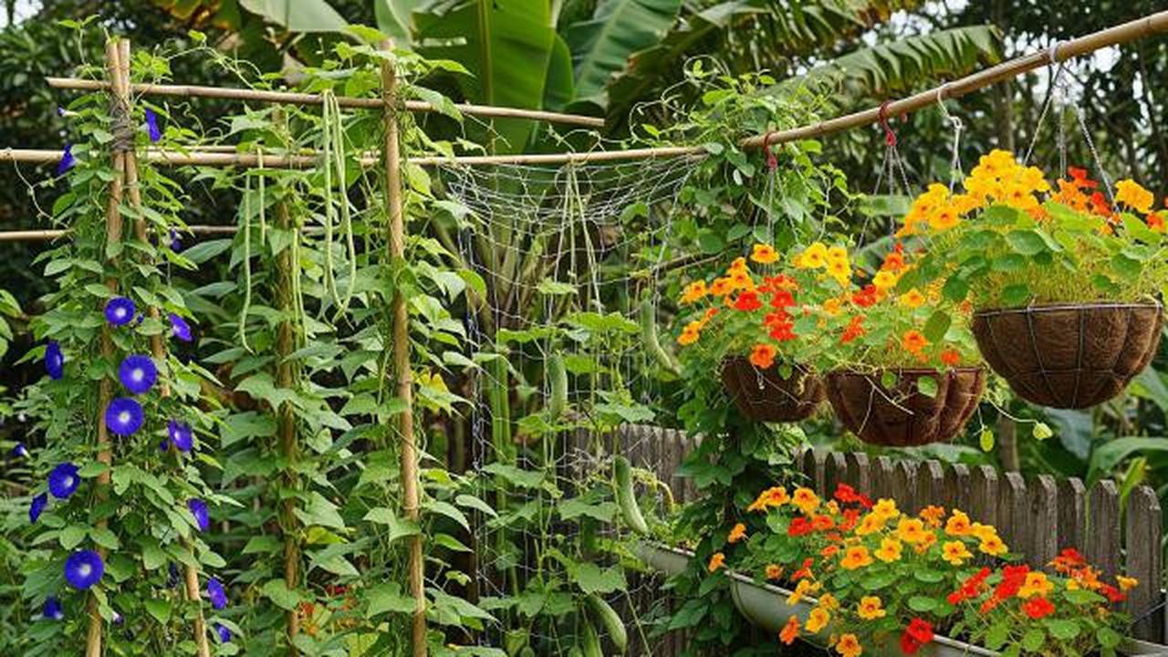 5 Jenis Tanaman yang Cocok untuk Kebun Vertikal Kecil di Lingkungan Tropis Indonesia