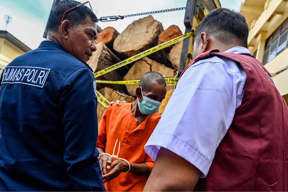FOTO: Polisi Tangkap Pelaku Pembalakan Liar di Aceh, Sita Truk Bermuatan Kayu Ilegal