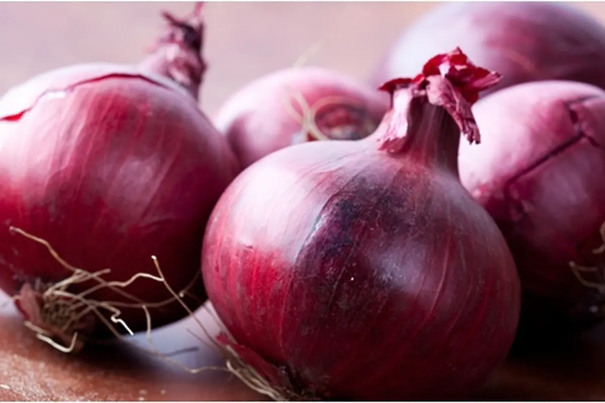 Foto: copyright shutterstock.com