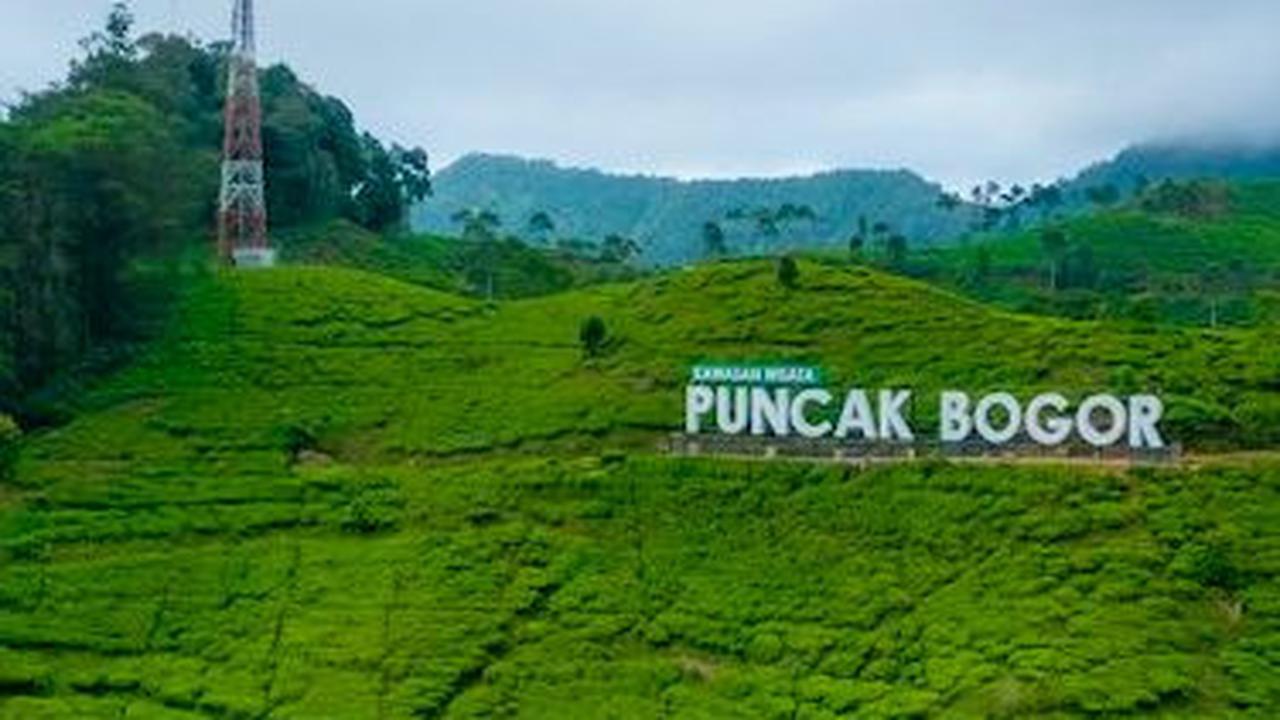 Wisata Puncak Bogor Populer, Seru dengan Pemandangan yang Indah