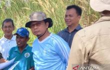 Optimalisasi Lahan Kritis Bangka Tengah Dorong Pertanian Produktif
