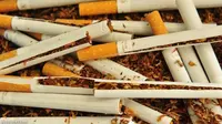 FCTC Dianggap Melarang Rokok secara Total, AMTI Tolak Ratifikasi