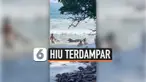 HIU TERDAMPAR