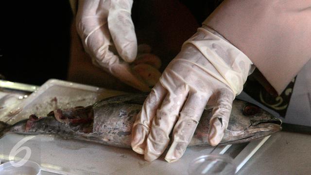 20160607-Pemeriksaan Ikan Berformalin