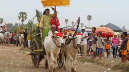 Sebuah gerobak sapi mengambil bagian dalam "Lok Ta Pring Ka-Ek" festival keagamaan tahunan di pinggiran Phnom Penh, Kamboja, (9/6/2016). Festival ini untuk mendoakan keberuntungan dan hujan untuk menyuburkan sawah warga. (REUTERS/Samrang Pring) 
