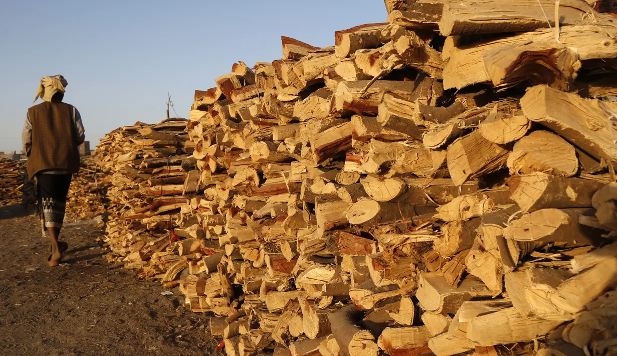 Seorang pria berjalan melewati tumpukan kayu yang dijual di sebuah pasar di Sanaa, Yaman, pada 5 November 2020. Penduduk Yaman beralih menggunakan kayu untuk memasak karena kekurangan pasokan bahan bakar. (Xinhua/Mohammed Mohammed)