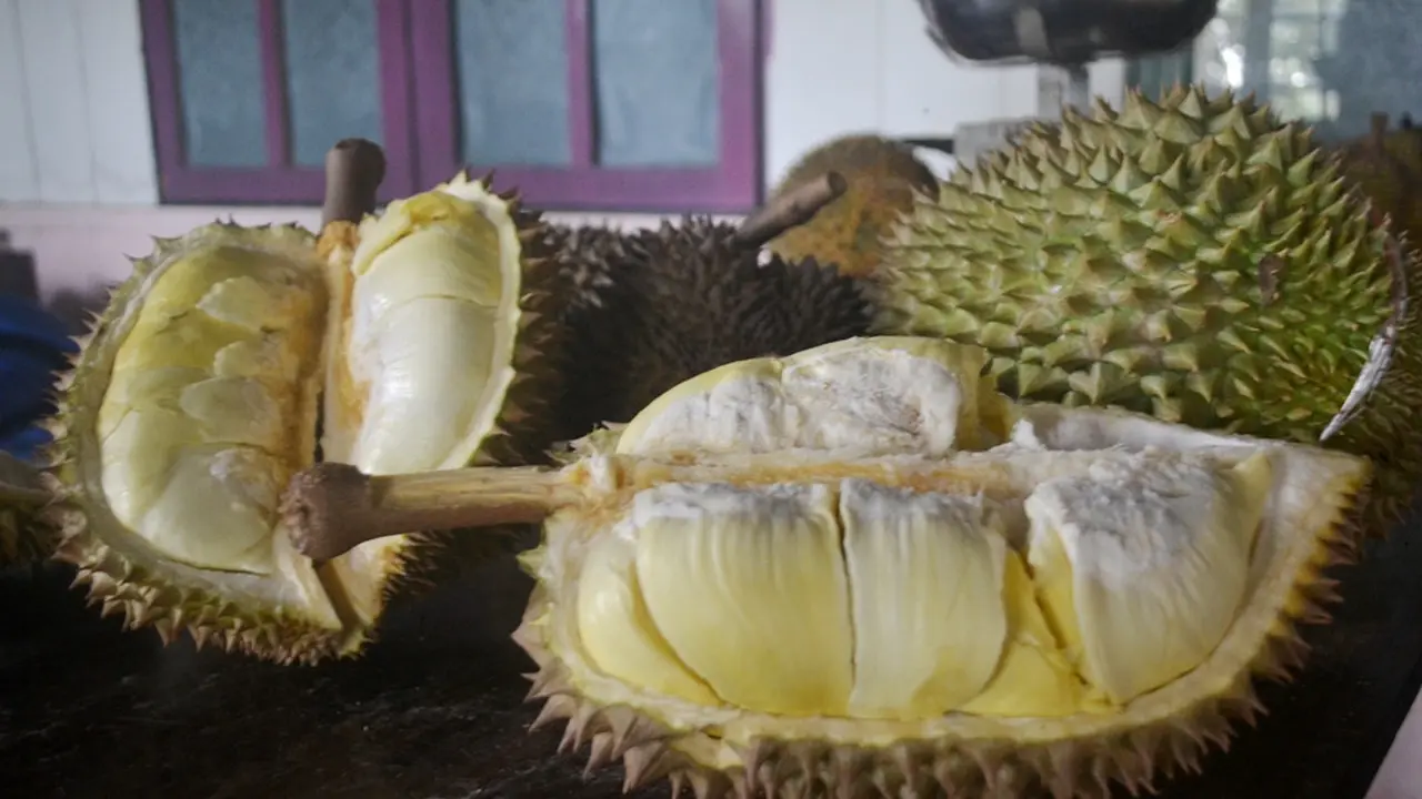 Montong Oranye durian asal Banyumas. (Foto: Liputan6.com/Muhamad Ridlo)