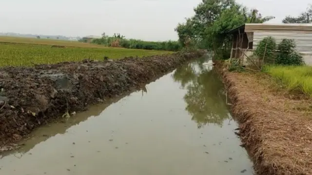 Kementan