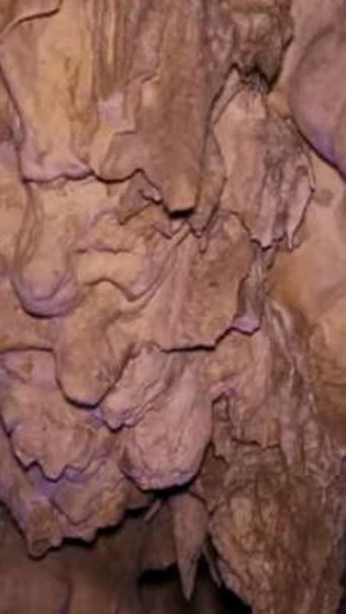 Lingkungan karst tersebut meliputi batuan kapur berpori sehingga air di permukaan tanah selalu masuk ke dalam tanah.