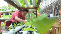 Seorang narapidana mengecek tanaman saat Festival Napi Berkebun (FNB) 2015 di Pasar Festival Gelanggang Olahraga Soemantri Brodjonegoro, Kuningan, Jakarta Selatan, Jumat, (18/12/15). (Liputan6.com/Faisal R Syam)