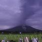 Material vulkanik dimuntahkan dari kawah Gunung Semeru di Lumajang, Jawa Timur, Indonesia, Selasa (1/12/2020). Gunung Semeru, di Kabupaten Lumajang, Jawa Timur meletus pada Selasa dini hari, 1 Desember 2020. (AP Photo)