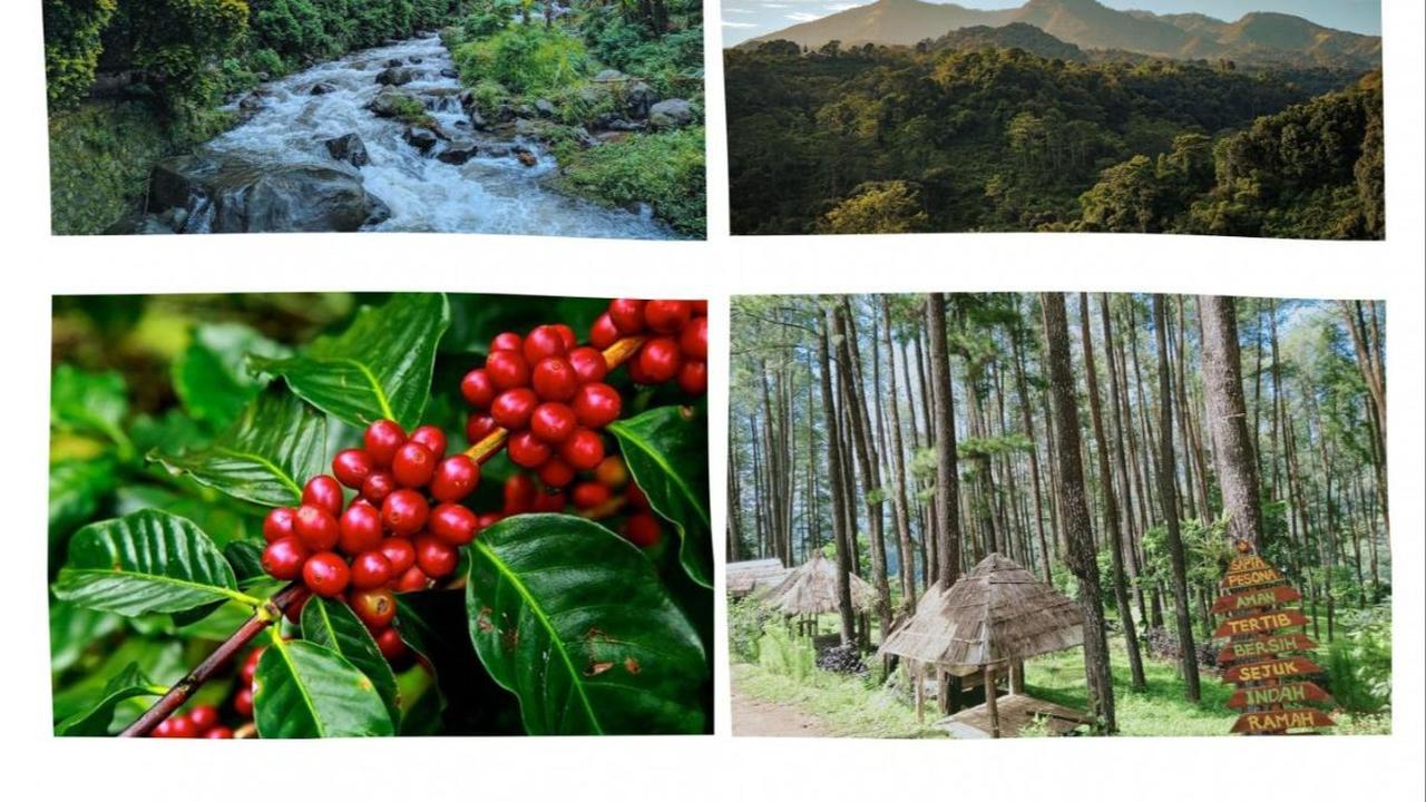 Wisata Alam