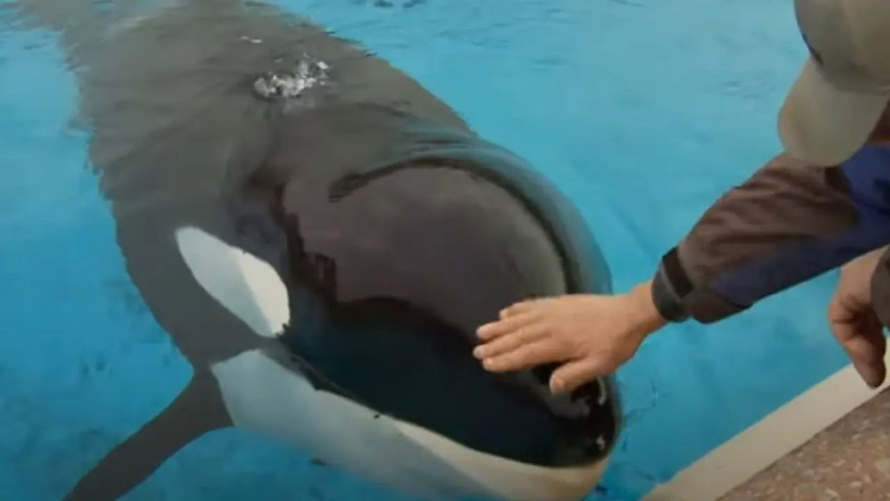 Kiska