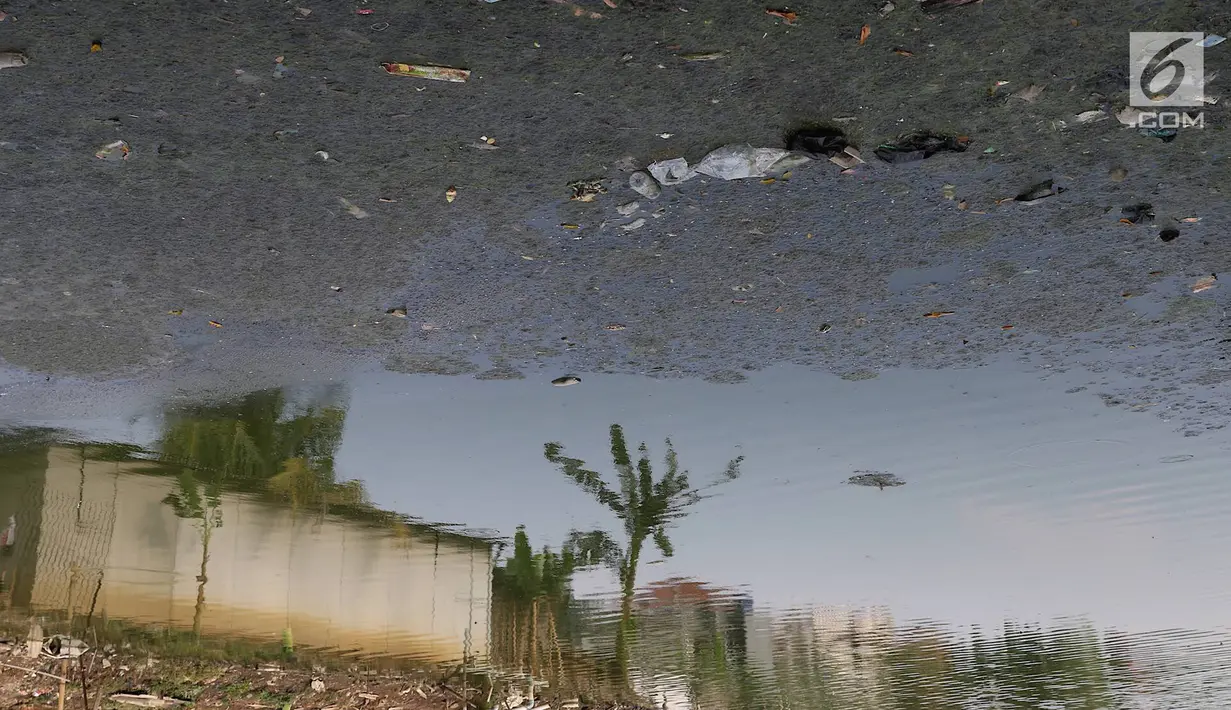 Kondisi Waduk Surilang, Pasar Rebo, Jakarta Timur, Senin (25/2). Waduk yang mengalami pendangkalan akibat lumpur yang lama tak dikeruk tersebut dikhawatirkan meluap saat musim hujan. (Liputan6.com/Immanuel Antonius)