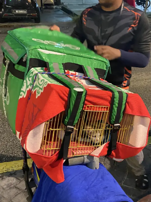 Viral Driver Ojol Bawa Kucing Sambil Bekerja, Netizen: Gemes Banget Sumpah