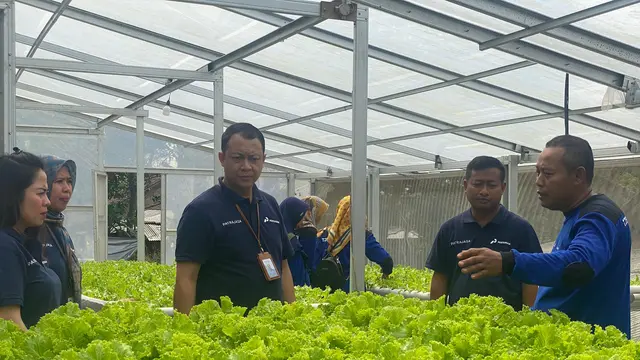 Cara Patra Jasa Peringati Hari Lingkungan Hidup Sedunia 5 Juni