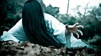 Produser Walter Parkes dan Laurie MacDonald mengungkapkan bahwa mereka bakal segera melanjutkan franchise horor The Ring.