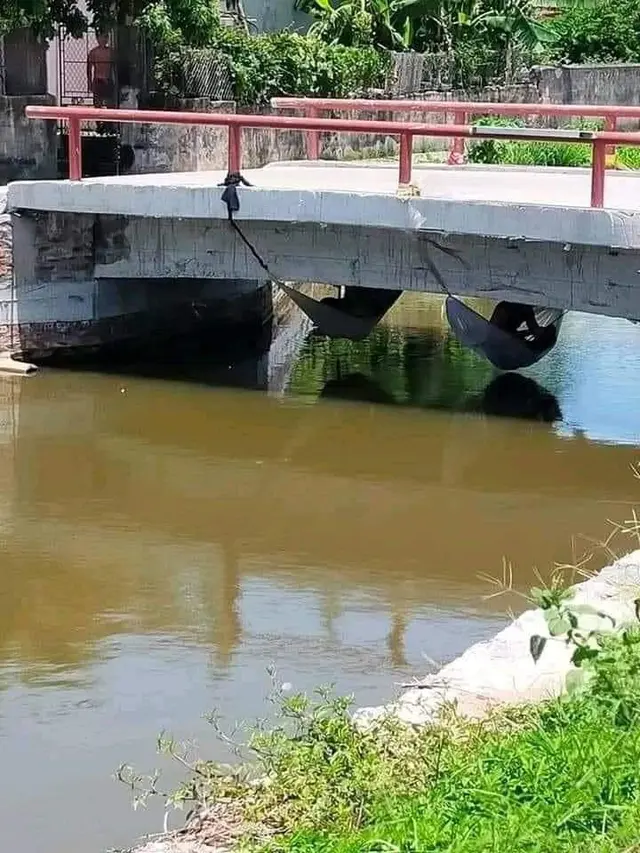 6 Potret Lucu Santai di Tempat Tidur Gantung Low Budget Ini Bikin Ngakak