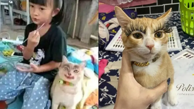 6 Kucing Pakai Makeup Biar Terlihat Cantik Ini Kocak, Ada yang Menor Banget