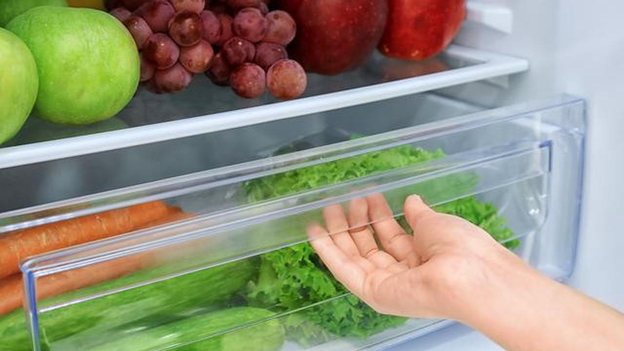 5 Cara Menyimpan Sayur agar Segar Hingga Seminggu, Anti Layu dan Hemat Uang