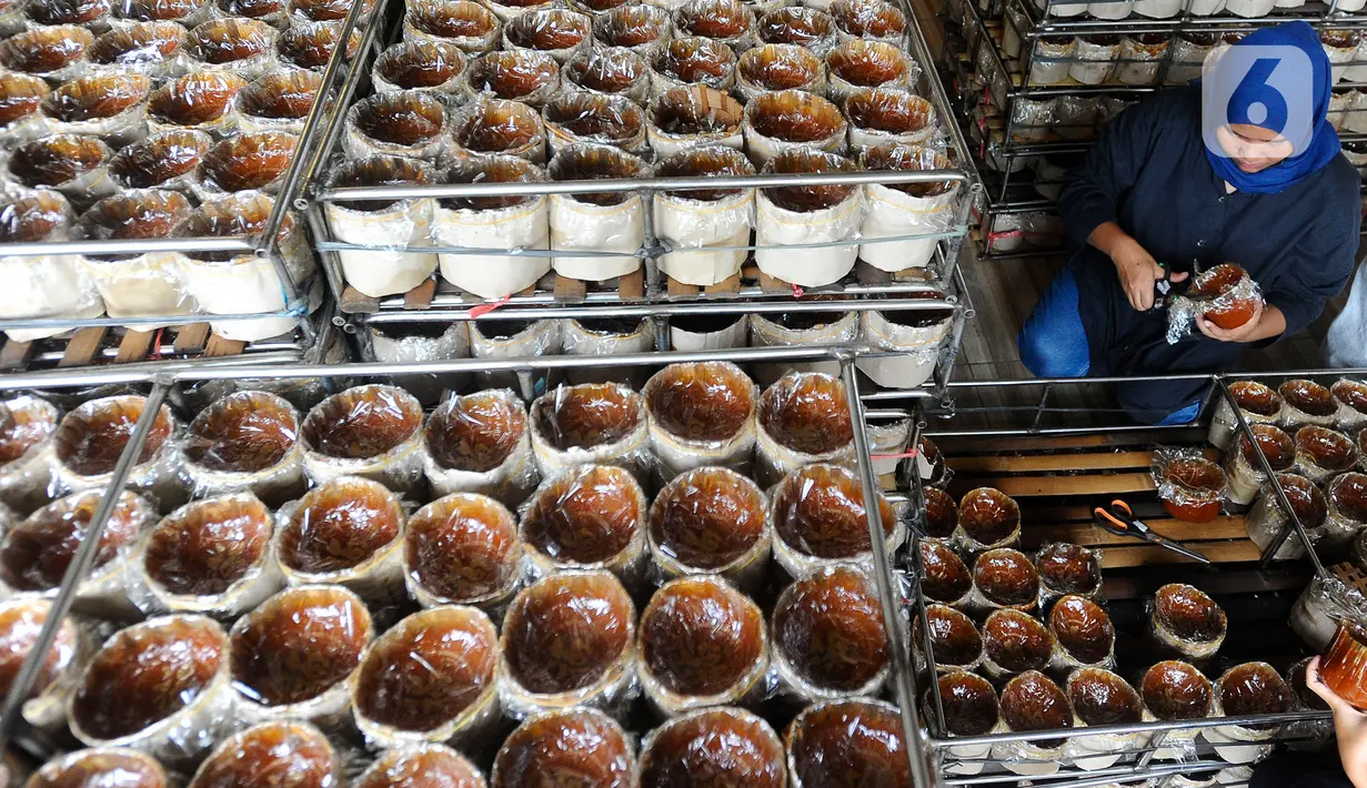 Pekerja menyelesaikan pembuatan kue Keranjang khas Imlek di Pabrik Kue Hoki di kawasan Sawangan, Depok, jawa Barat, Rabu (11/01/2023). Jelang perayaan tahun baru Imlek 2023 yang jatuh pada 22 Januari mendatang, permintaan kue keranjang meningkat sekitar 20 persen dibandingkan tahun lalu. (merdeka.com/Arie Basuki)