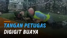 Aksi heroik dilakukan oleh seorang pengunjung ini ketika lompat ke kandang buaya dan menyelamatkan petugas yang digigit.
