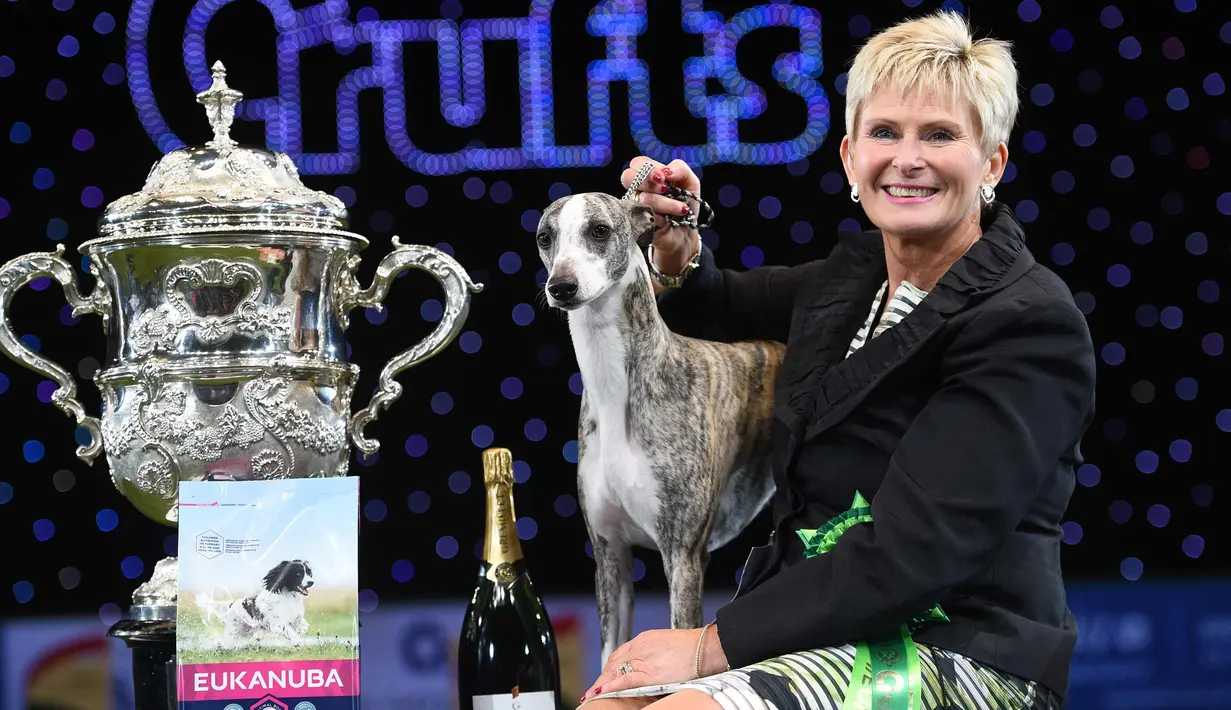 Yvette Short berpose dengan "Collooney Tartan Tease" (Tease), the Whippet, pemenang kompetisi Best in Show pada hari terakhir Crufts dog show 2018 di National Exhibition Centre di Birmingham, Inggris (11/3). (AFP Photo/Oli Scarff)