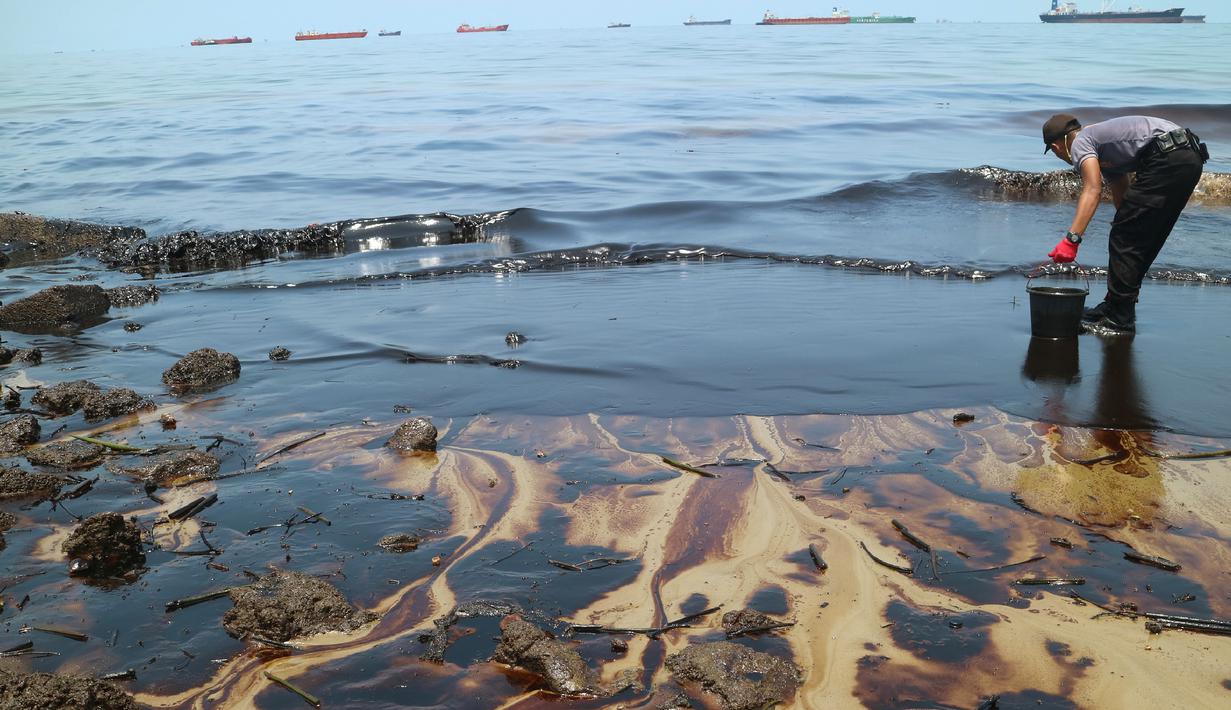 Foto Tumpahan Minyak Cemari Sejumlah Pantai Di Balikpapan Regional Liputan6 Com