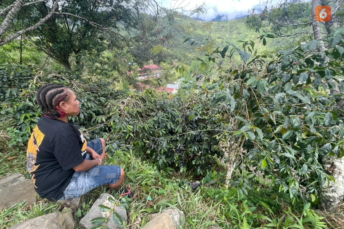 Kopi di Distrik Okbibab