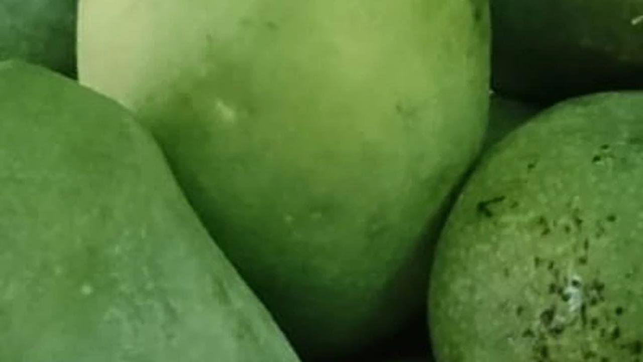 Mangga