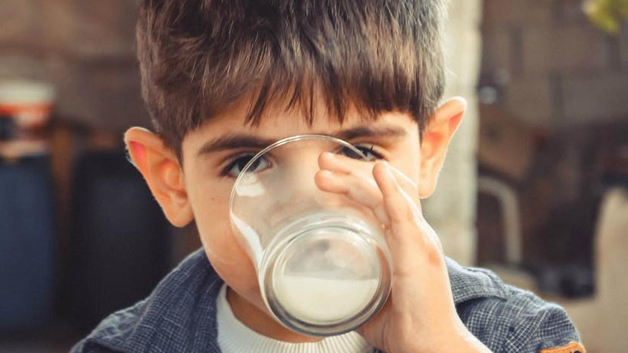 Ilustrasi Anak Minum Susu