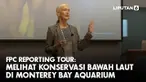 Direktur Eksekutif Monterey Bay Aquarium sekaligus ahli konservatif Amerika, Julie Packard menyebut ada visi lain dari Monterey Bay Aquarium. Bukan hanya sekedar menjadi lokasi wisata bagi masyarakat di lokal maupun internasional, namun juga membawa ...