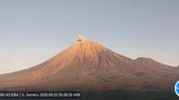 Gunung Semeru di perbatasan Kabupaten Lumajang dan Malang, Jawa Timur (Jatim) erupsi dengan tinggi letusan sekitar 700 meter di atas puncak pada Senin pagi (22/9/2025). (Antara)