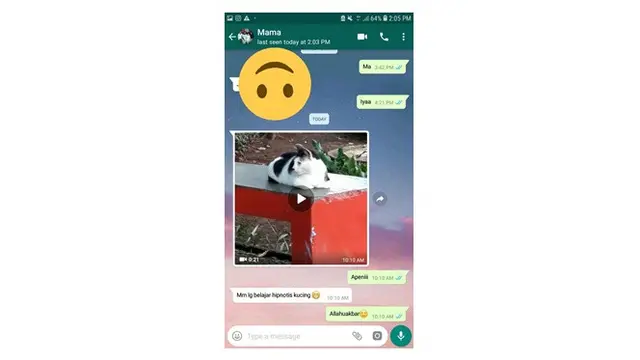Obrolan Chat Keluarga Ini Absurd Banget