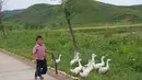 Seorang anak dengan ternaknya (Source : IST)
