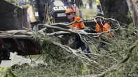 Badai Marcia Hantam Queensland, 1.500 Rumah dan Jalan Rusak