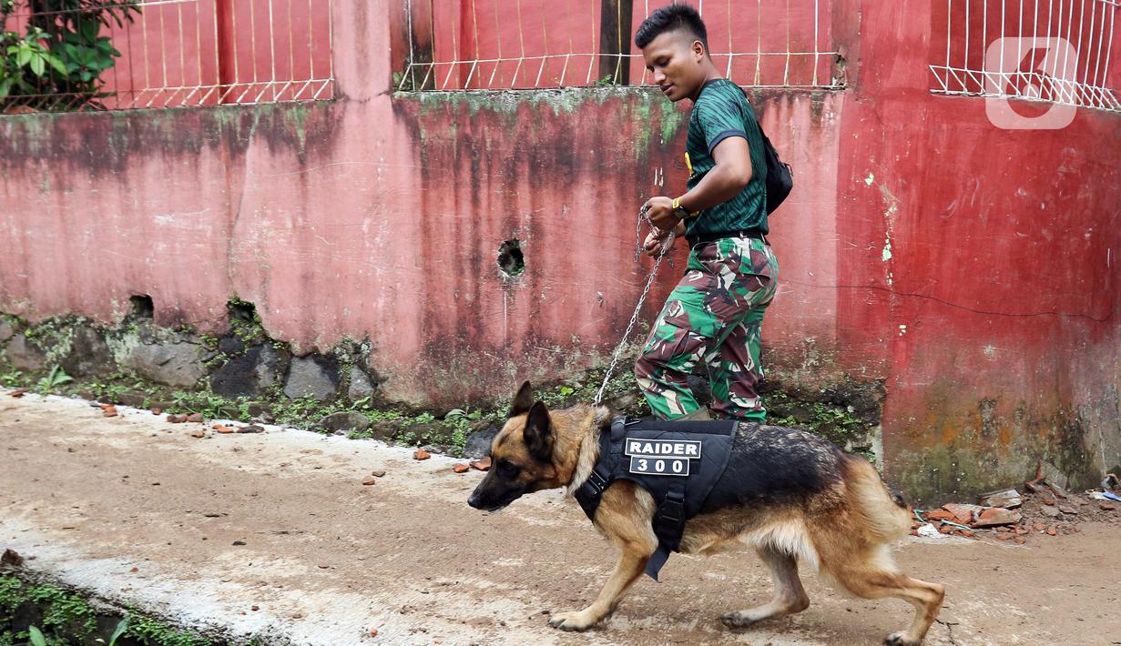 Tentara membawa anjing pelacak saat mencari korban yang tertimbun longsor akibat gempa berkekuatan magnitudo 5,6 di Cijendil, Kabupaten Cianjur, Jawa Barat, Rabu (23/11/2022). Puluhan warga di kawasan itu diperkirakan masih tertimbun longsor pascagempa yang mengguncang Cianjur pada 21 November 2022. (Liputan6.com/Herman Zakharia)