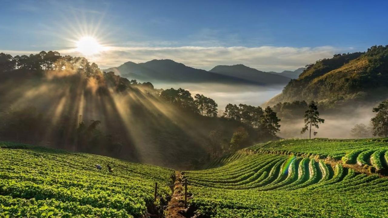 Tertinggi Kedua di Jawa