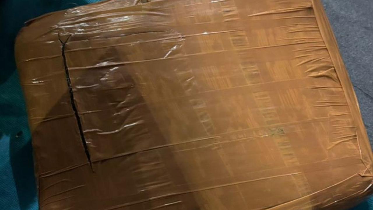 Polisi Tangkap Empat Pengedar Ganja di Jakarta Utara, Sita 1 Kilogram Lebih Barang Bukti