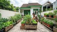7 Ide Kebun Sayur untuk Rumah Kontrakan yang Tidak Boleh Dibongkar, Mudah Dibuat