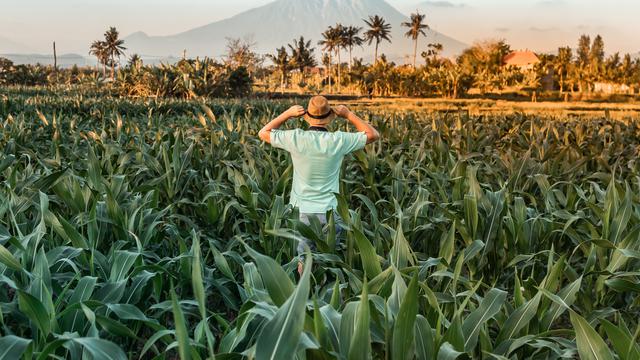 Ilustrasi wisatawan Indonesia