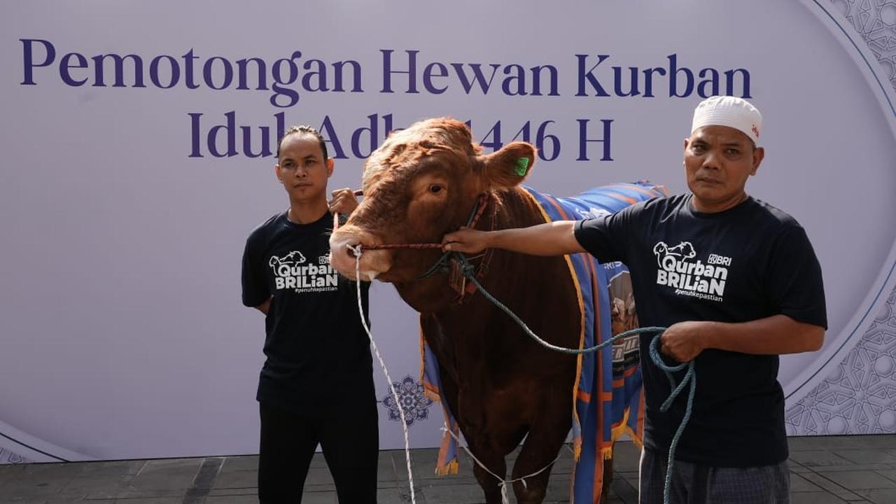 Bapekis dan Karyawan BRI Salurkan 961 Hewan Kurban untuk Masyarakat